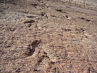 huellas-de-dinosaurios-encontrados-peru