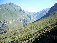 P1250606