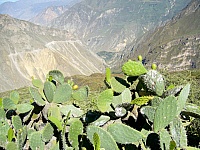 P1250607