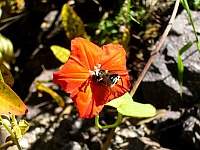 P1250613