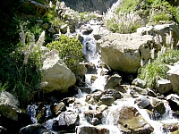 P1250629