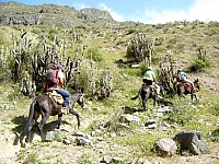 P1250491