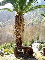 P1250517