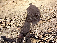 P1100561