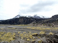 coropuna